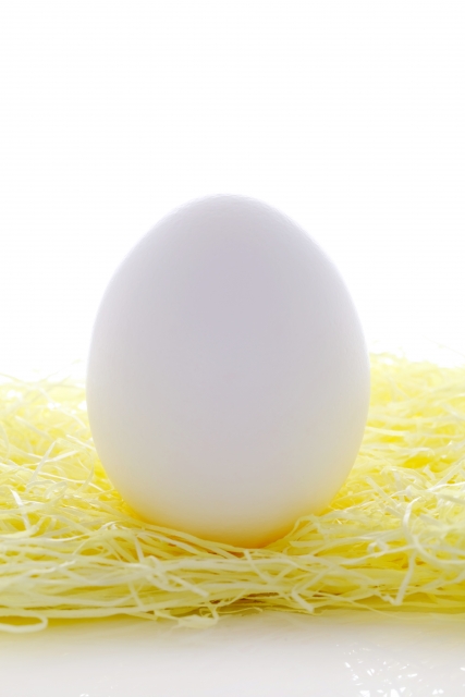 卵　タンパク質　吸収